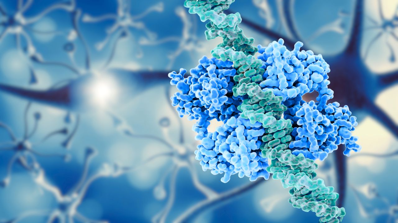 Progetto 1 - L'inizio della ricerca